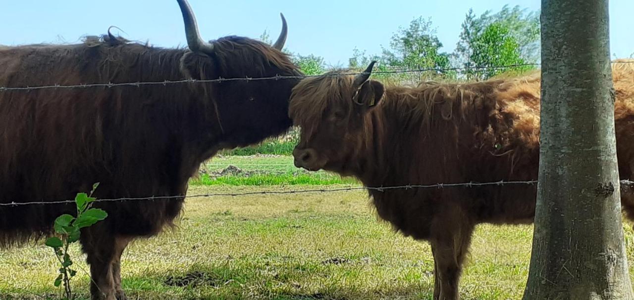 Huisje Beukers Giethoorn Zewnętrze zdjęcie