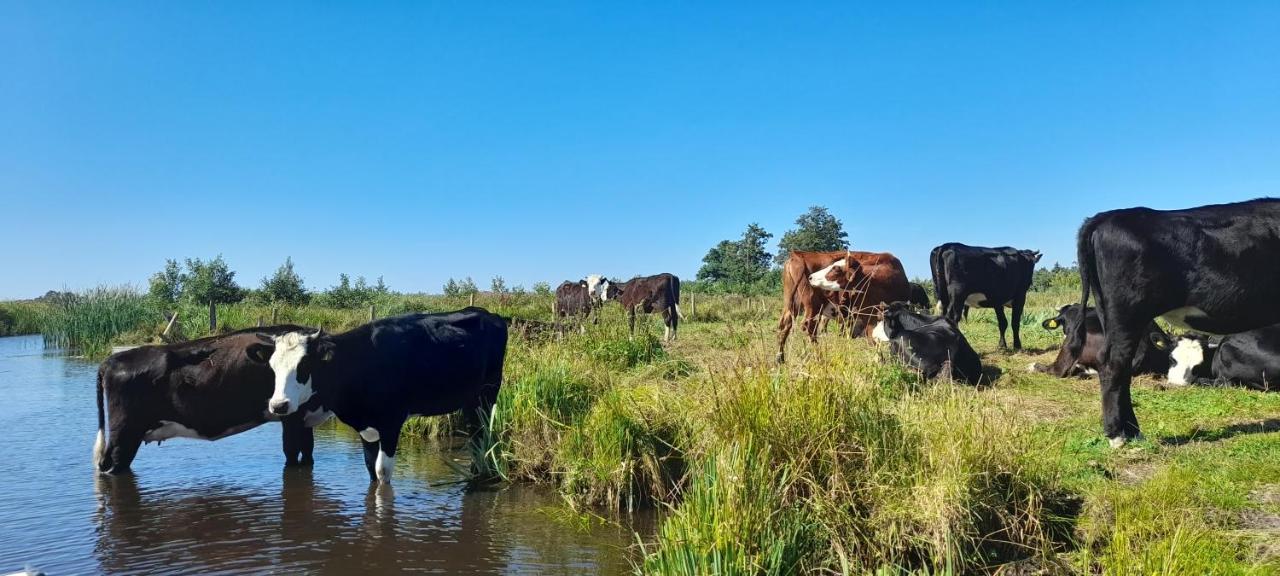 Huisje Beukers Giethoorn Zewnętrze zdjęcie