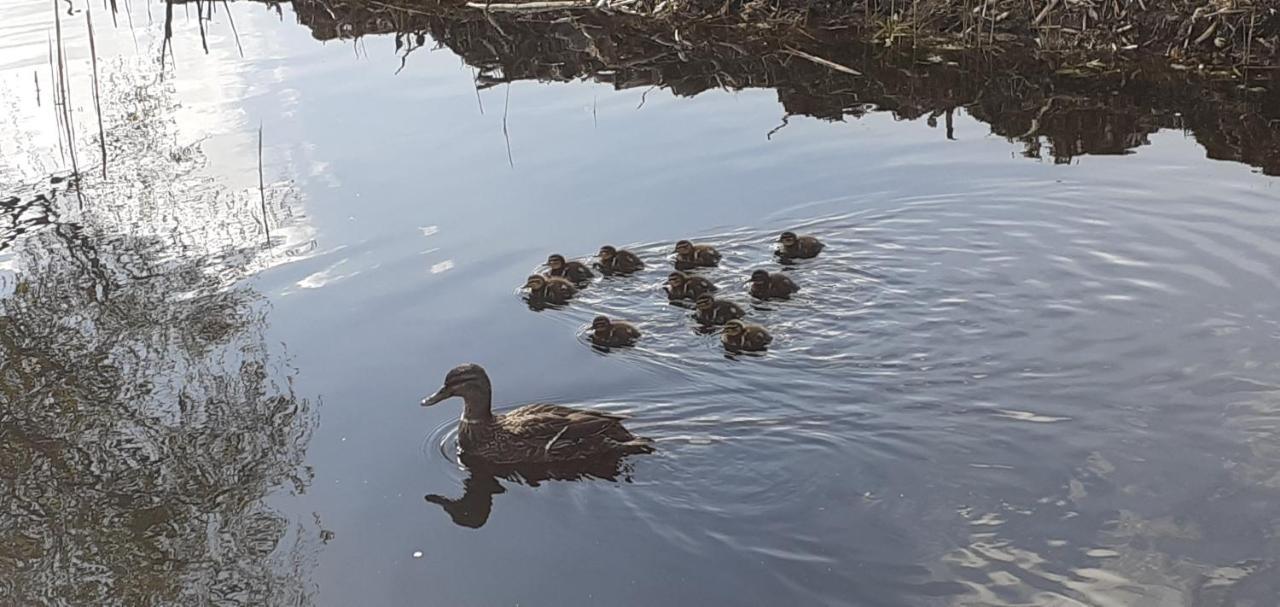 Willa Huisje Beukers Giethoorn Zewnętrze zdjęcie