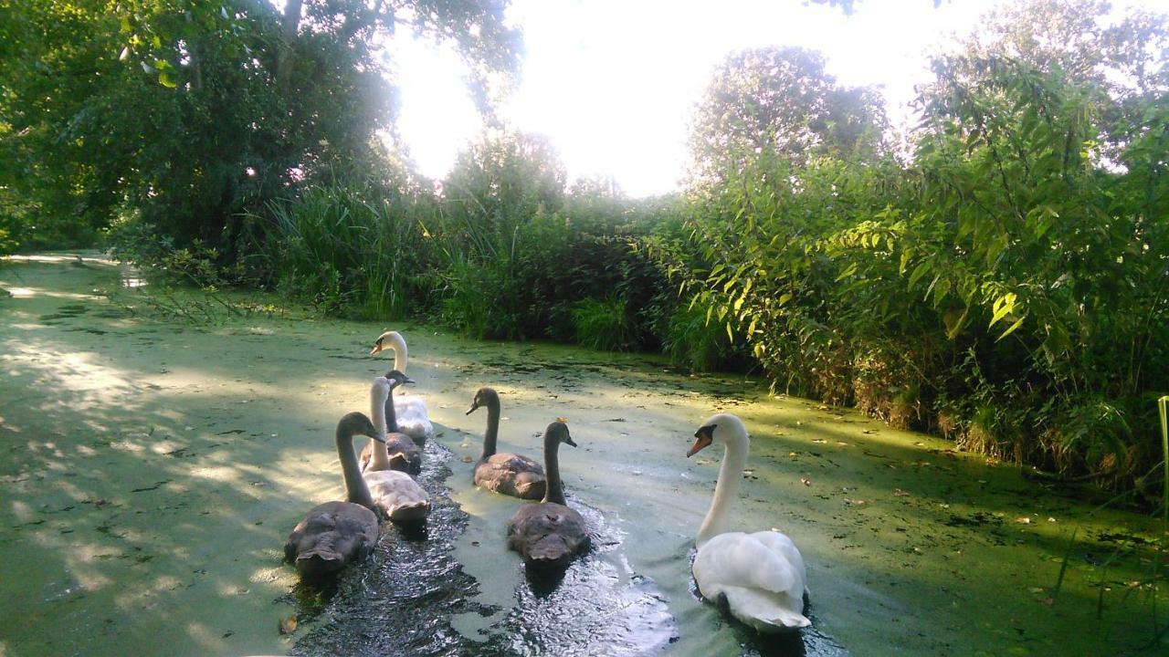 Willa Huisje Beukers Giethoorn Zewnętrze zdjęcie